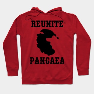 reunite Pangaea T-Shirt Hoodie